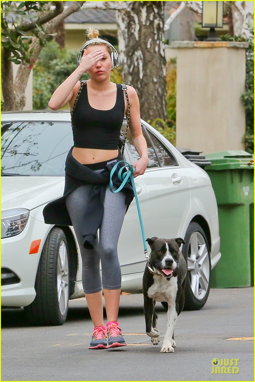 Miley Cyrus Bares Midriff While Walking Dog Mary Jane!: Photo 3024628 ...