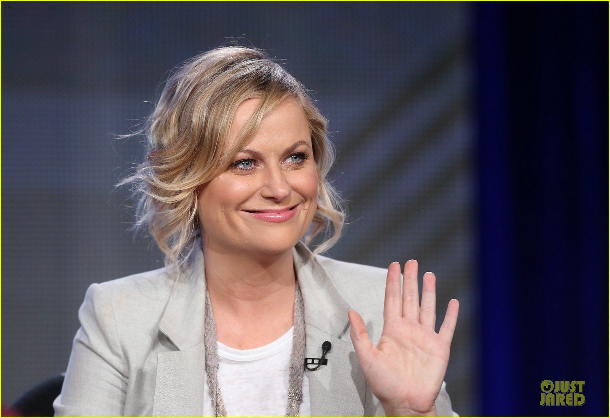 amy poehler comedy central tca winter tour panel 10