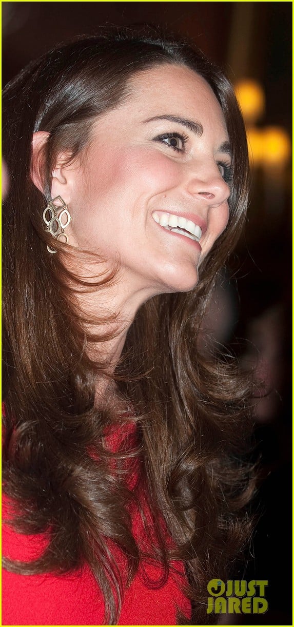 kate middleton recycles alexander mcqueen dress for arts reception 043055179