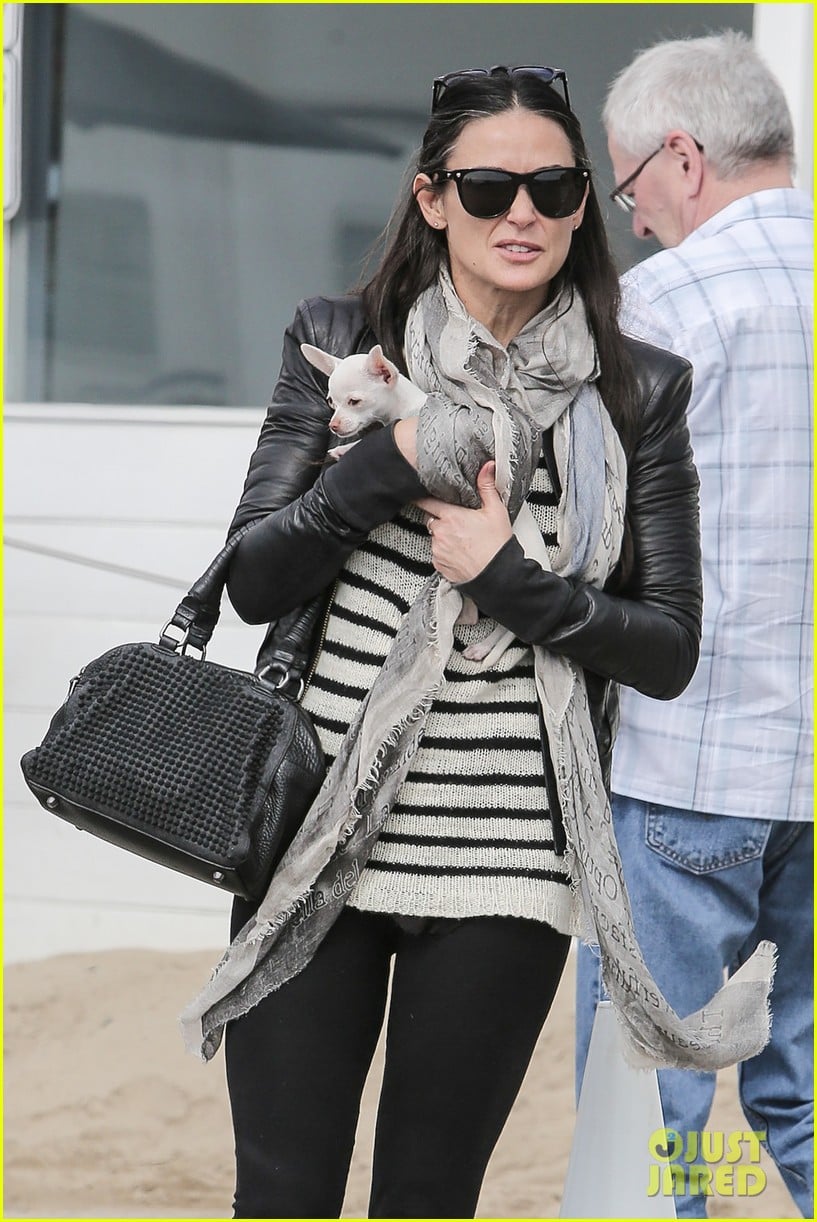 demi moore takes her tiny dog to yoga class 023051306