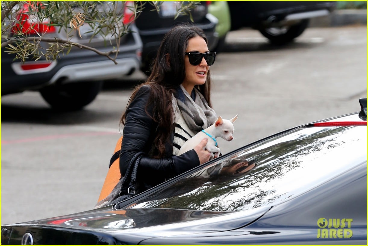 demi moore takes her tiny dog to yoga class 053051309