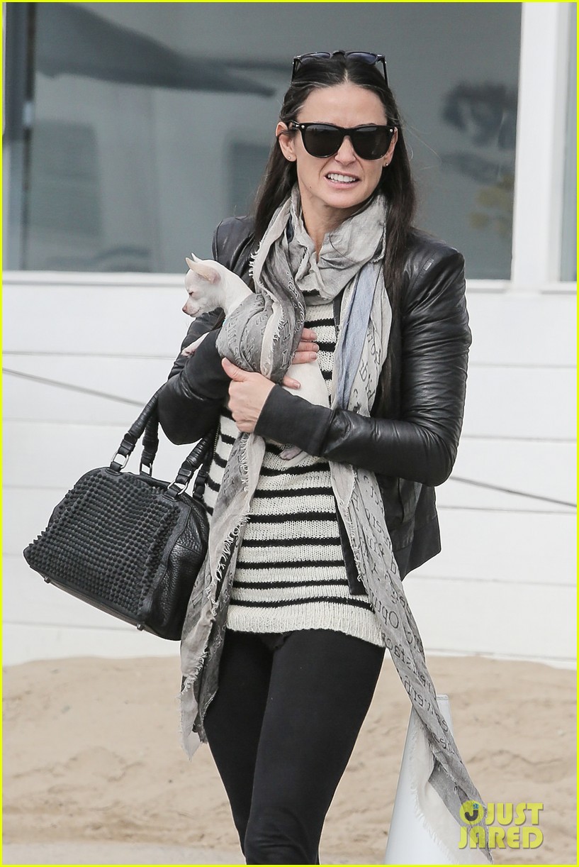 demi moore takes her tiny dog to yoga class 083051312
