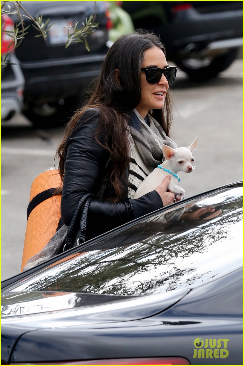 demi moore takes her tiny dog to yoga class 153051319