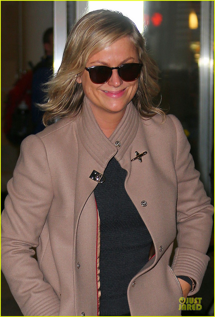 amy poehler old soul will be directed by david wain 023045383