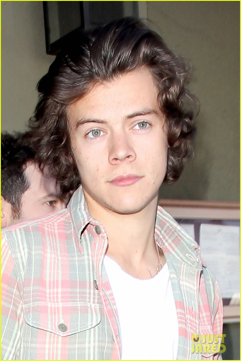 harry styles lunches in los angeles without one direction 043070602