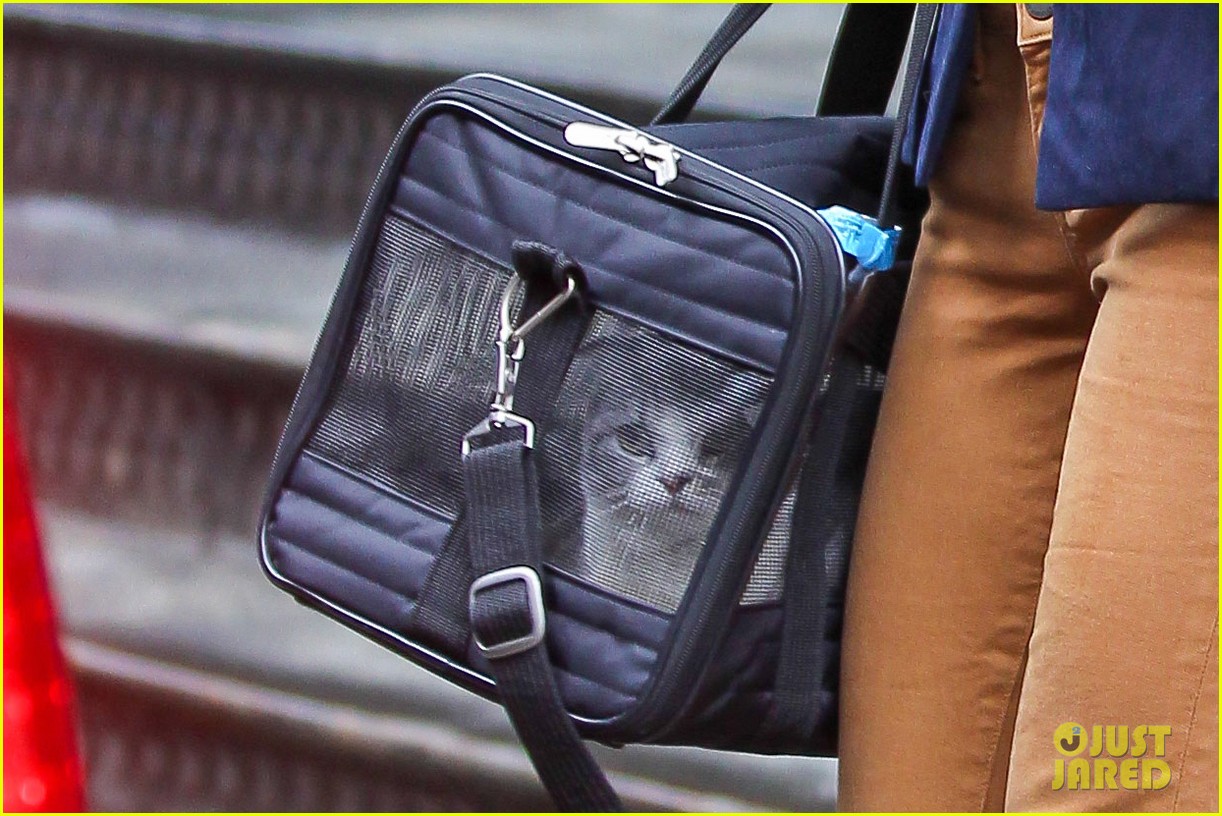 taylor swift brings her cat meredith around nyc in travel carrier 08