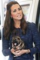prince george makes appearance parents play with puppies 10