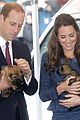 prince george makes appearance parents play with puppies 12