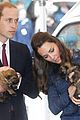 prince george makes appearance parents play with puppies 13