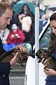 prince george makes appearance parents play with puppies 14