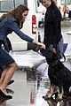 prince george makes appearance parents play with puppies 15
