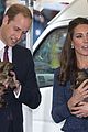 prince george makes appearance parents play with puppies 16
