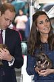 prince george makes appearance parents play with puppies 18