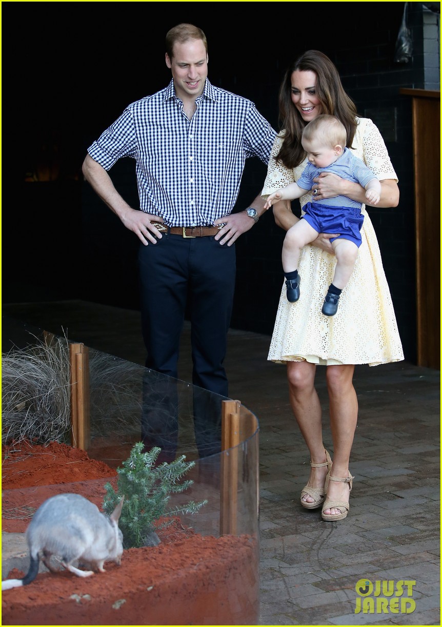 prince george goes to the zoo kate middleton prince william 153095516