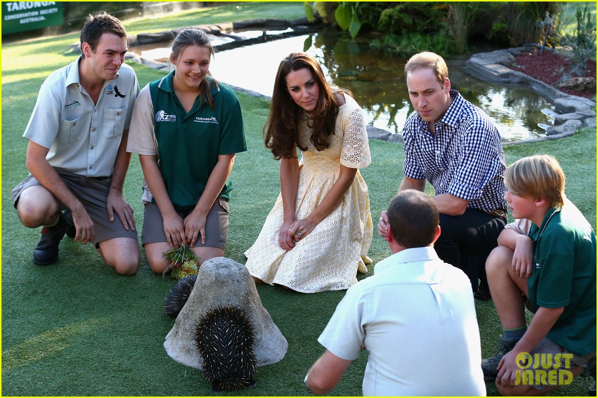 prince george goes to the zoo kate middleton prince william 16