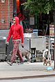 adam brody walks the dogs in his favorite sweatshirt07
