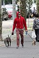 adam brody walks the dogs in his favorite sweatshirt11