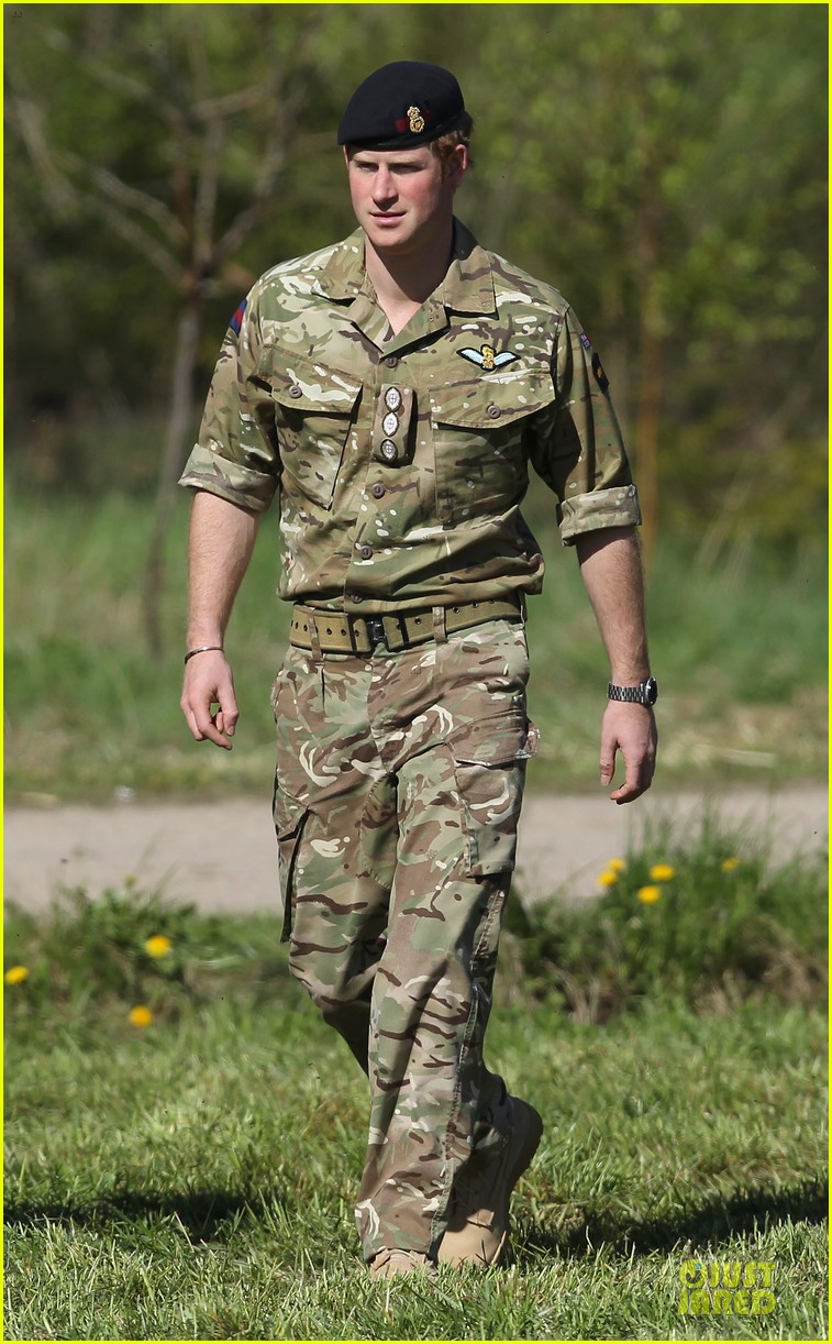 prince harry charm us on two day estonia visit 013115708