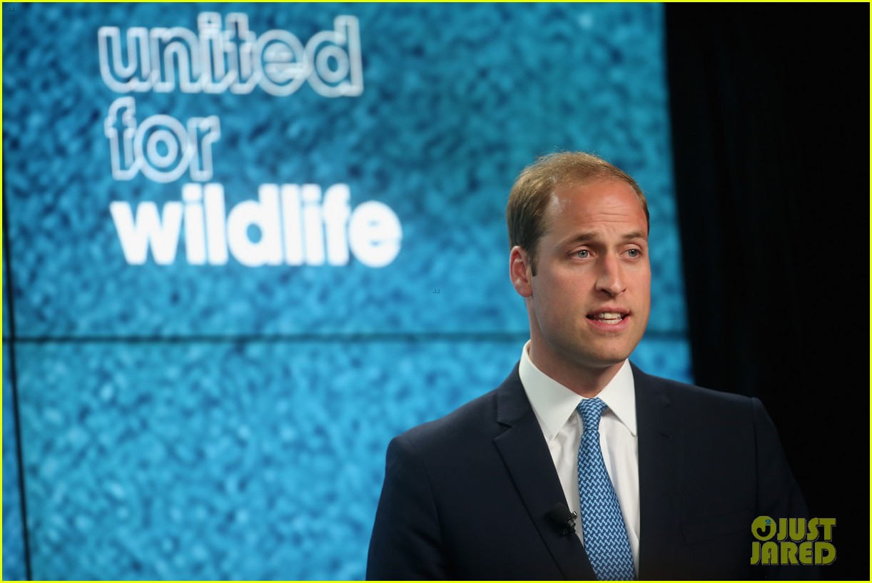 David Beckham 'Unites' with Prince William to Preserve Wildlife Photo