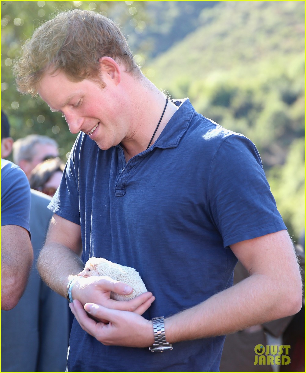 prince harry busts a move children chile visit 073146205