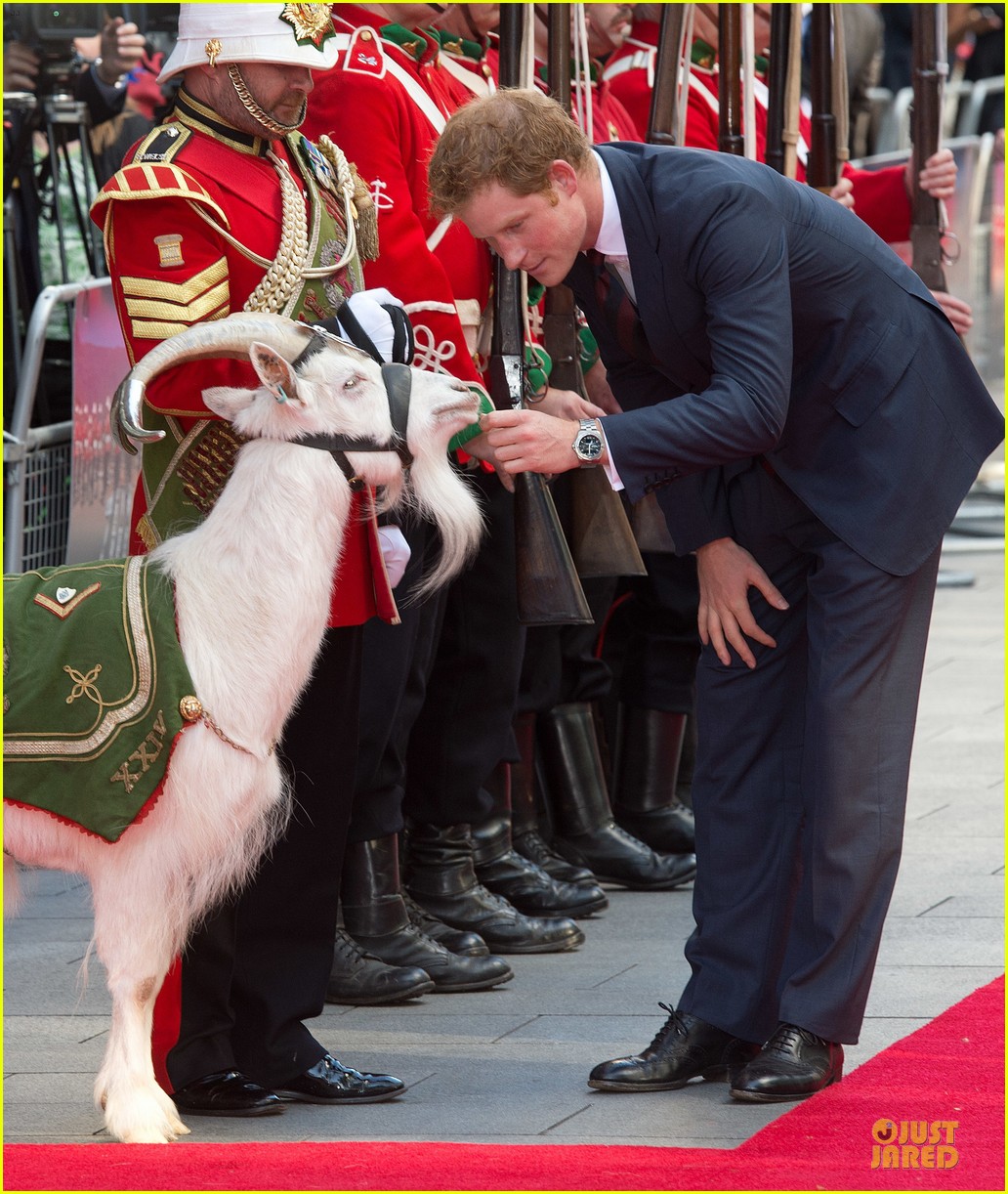 prince harry interaction with goat melt your heart 033132676