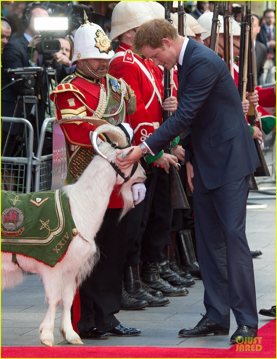 prince harry interaction with goat melt your heart 113132684