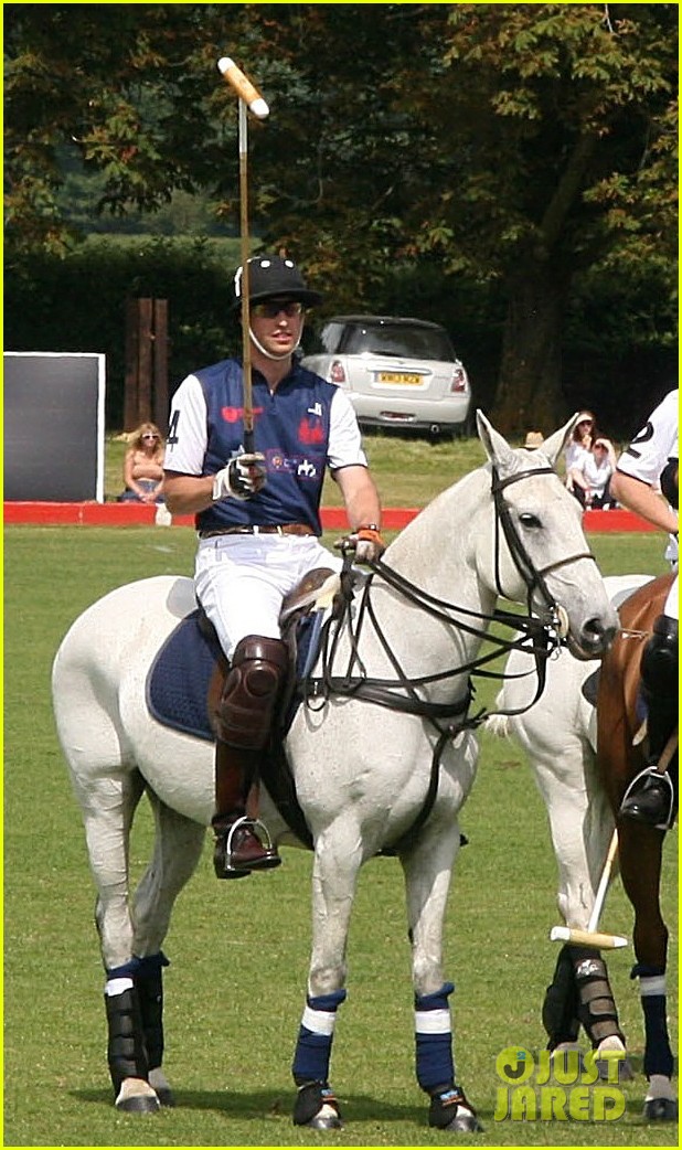 prince harry prince william make it a royal affair at polo match 013141408