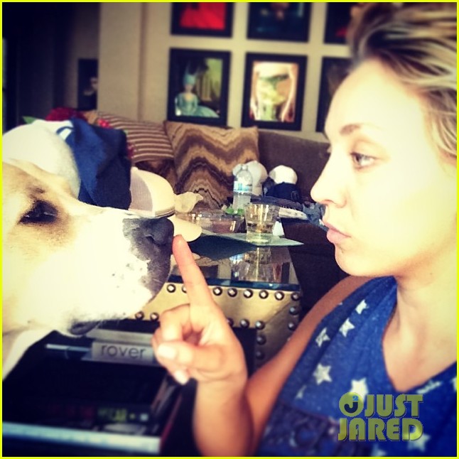 kaley cuoco ryan sweeting have so much love for pitbull norman 01