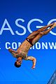 tom daley wins gold at commonwealth games 17
