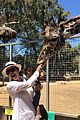 kim kardashian daughter north west feeds giraffe 05