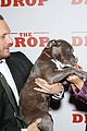 tom hardy gets nice licking at drop nyc premiere 24