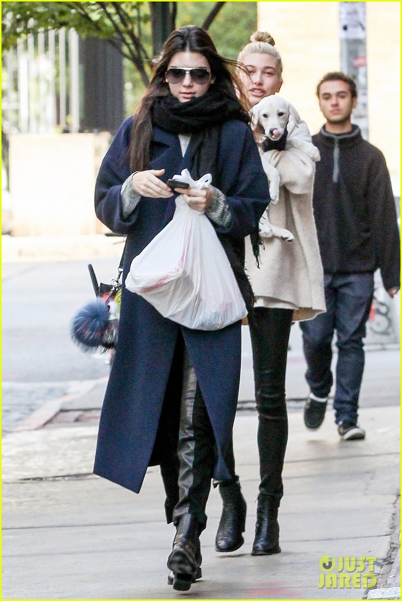 kendall jenner asks who needs boys when we have puppies 083223198