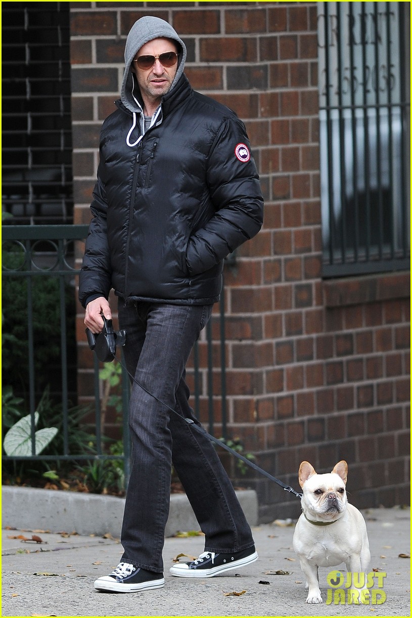 Hugh Jackman Walks His Dog After Slicing Open His Fingers Onstage