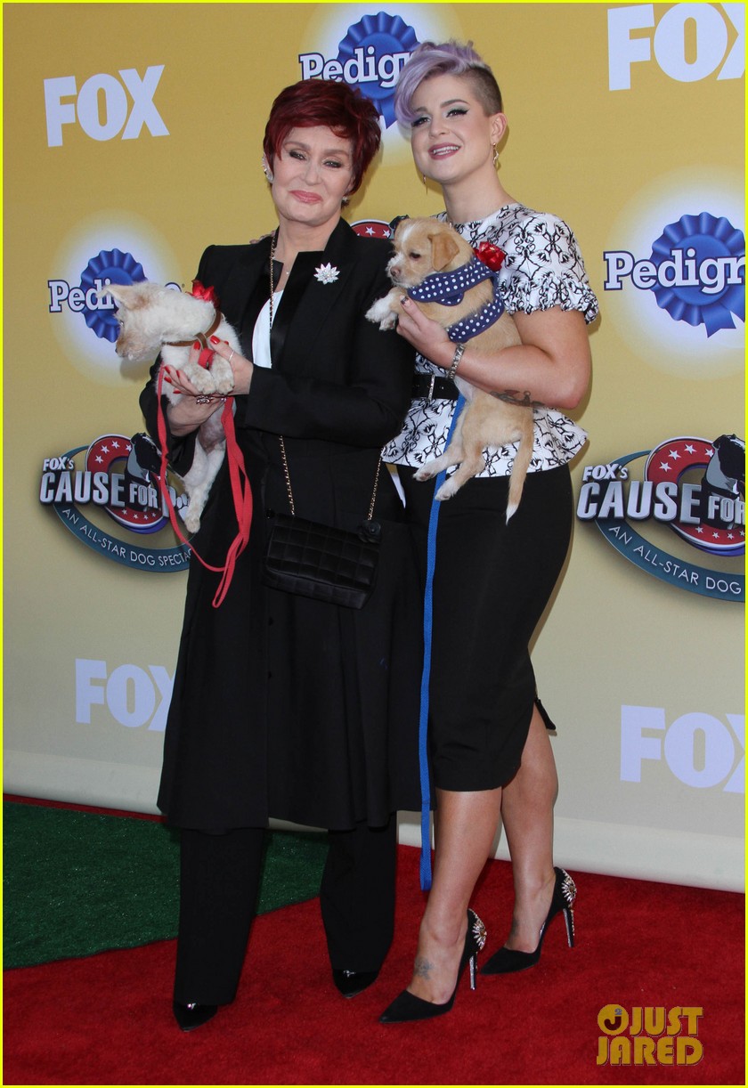 hilary swank olivia munn cause for paws 013248174