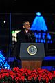 tom hanks wife rita wilson help president obama light the national christmas 13