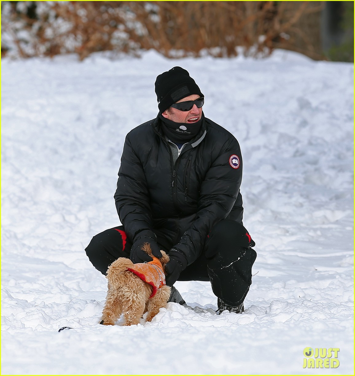 hugh jackman snow frozen dogs nyc blizzard 113290408
