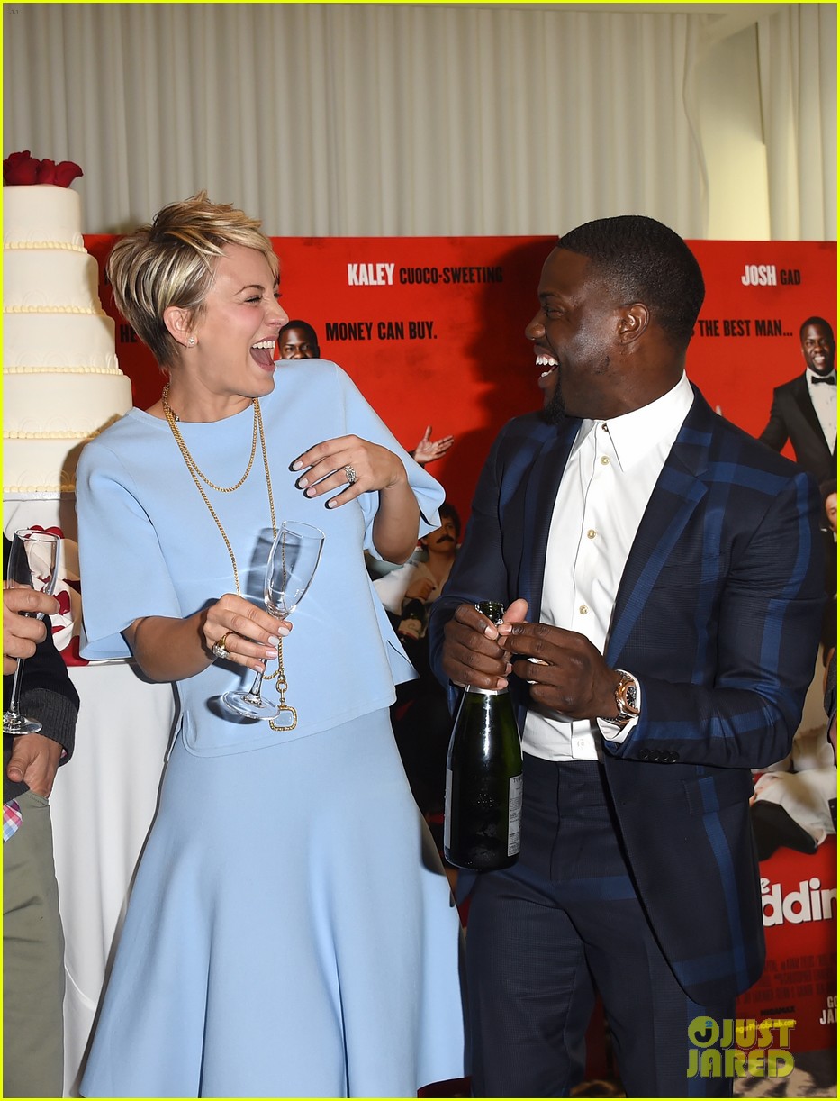 Wedding Ringerb Cast 'Wedding Ringer' Cast Gets Amy Pascal's Support at Premiere!: Photo ...
