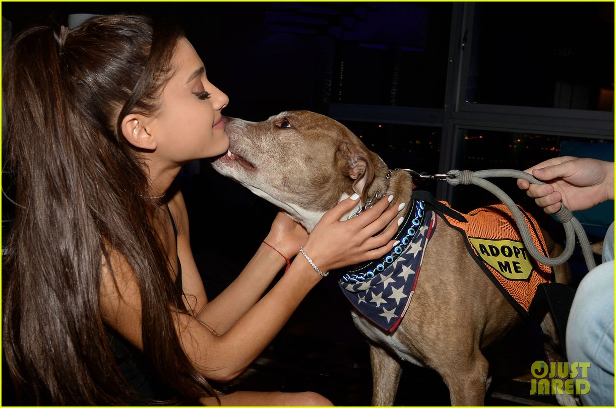 ariana grande is doing amazing things for nyc rescue dogs 07