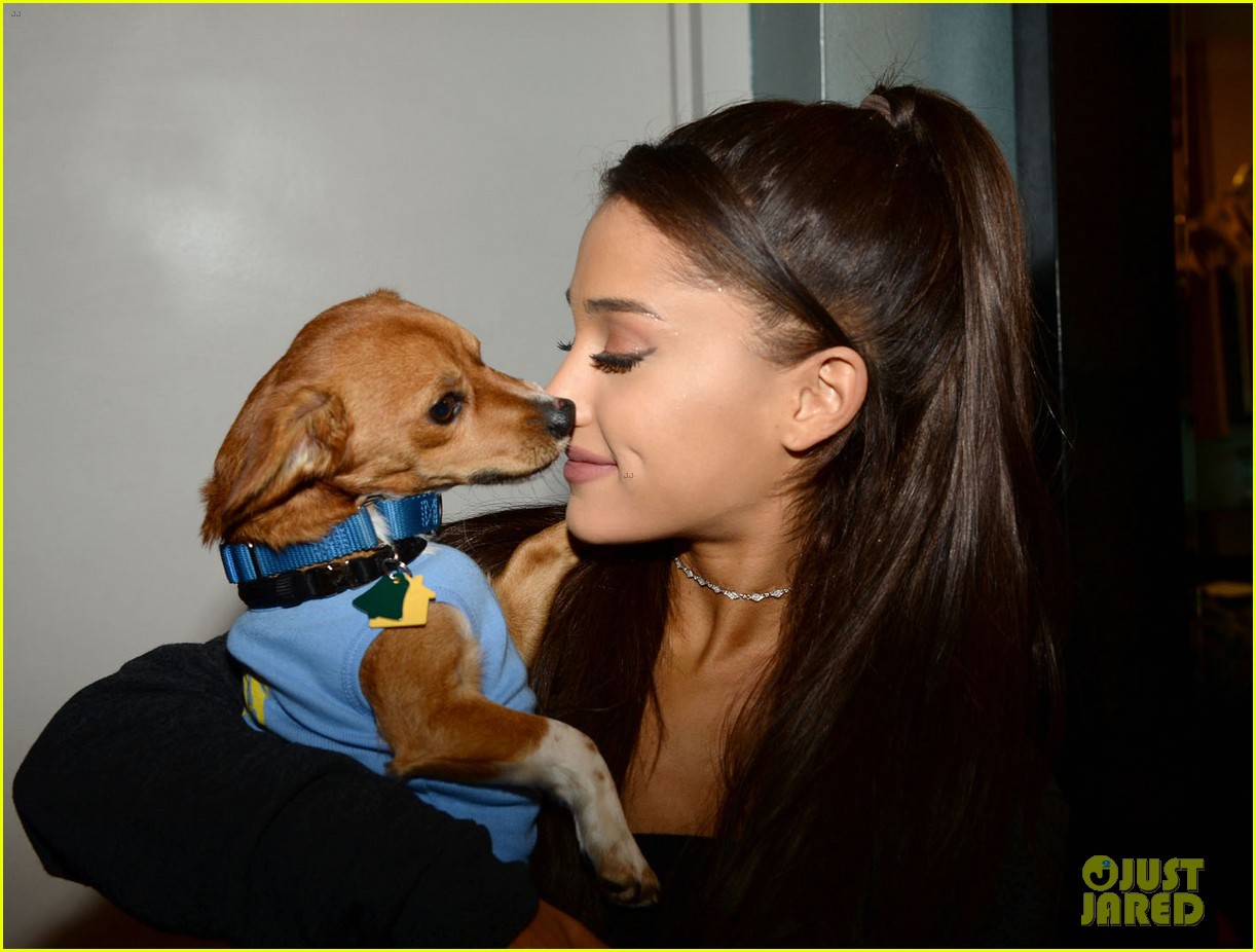 ariana grande is doing amazing things for nyc rescue dogs 09