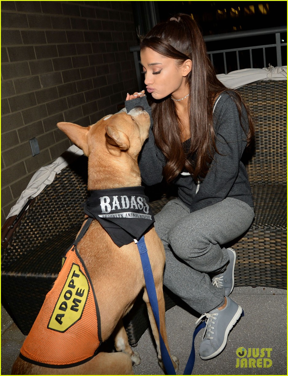 ariana grande is doing amazing things for nyc rescue dogs 163330369