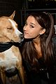 ariana grande is doing amazing things for nyc rescue dogs 05