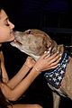 ariana grande is doing amazing things for nyc rescue dogs 07