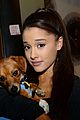 ariana grande is doing amazing things for nyc rescue dogs 08