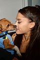 ariana grande is doing amazing things for nyc rescue dogs 09