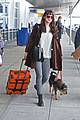 dakota johnson travels solo with her pet pooch by her side 01