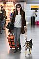 dakota johnson travels solo with her pet pooch by her side 03