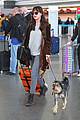 dakota johnson travels solo with her pet pooch by her side 05