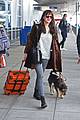 dakota johnson travels solo with her pet pooch by her side 06