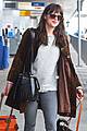 dakota johnson travels solo with her pet pooch by her side 07