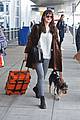dakota johnson travels solo with her pet pooch by her side 08